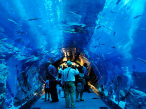 Dubai Mall Aquarium and Under water Zoo