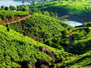 Kerala