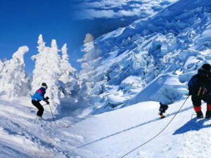 Delhi / Shimla / Manali / Chandigarh